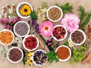 Traditional medicine (4)