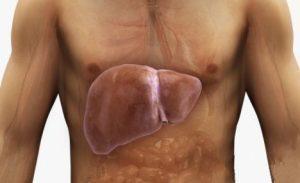 Fatty Liver (4)