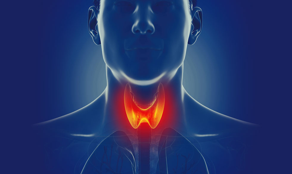 Thyroid (3)